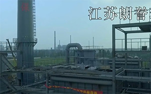 山東鄆城項目